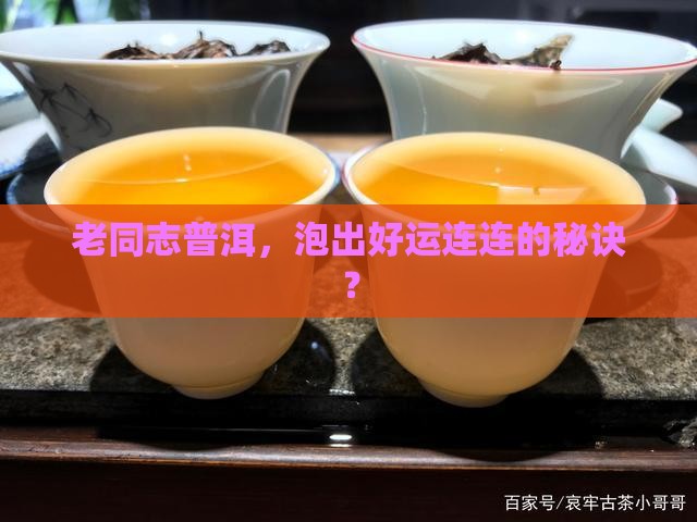 老同志普洱茶好运来