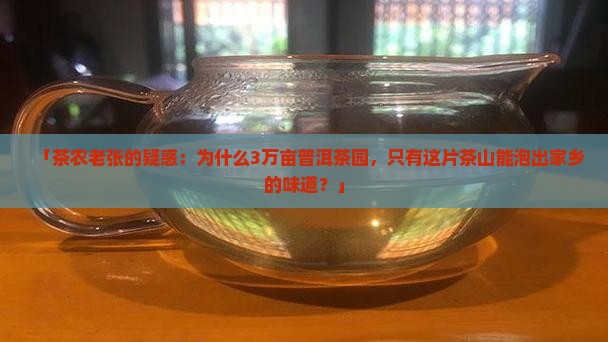 人文地理纪录片普洱茶