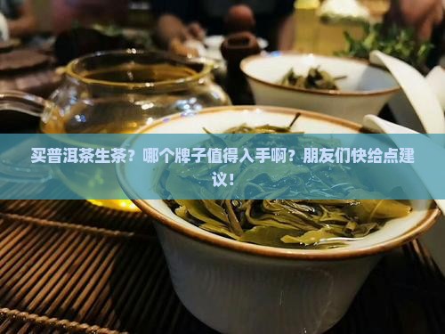 普洱茶生茶买哪个品牌好