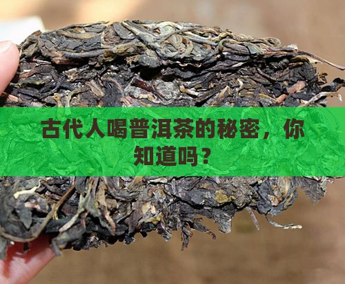 古代人怎么喝普洱茶 古代人怎么喝普洱茶
