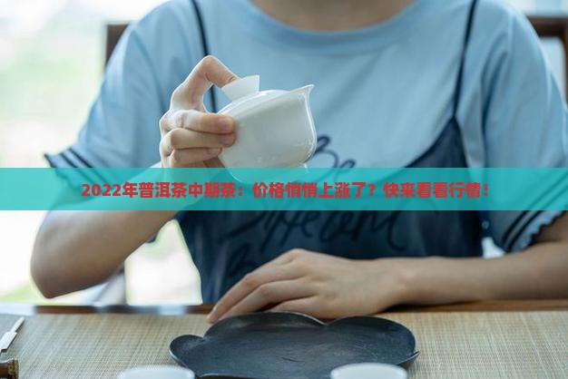 2022年普洱茶中期茶价格