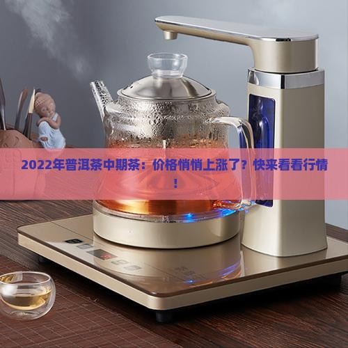 2022年普洱茶中期茶价格