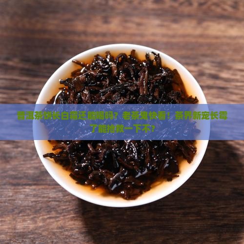 普洱茶饼长白霜还能喝吗