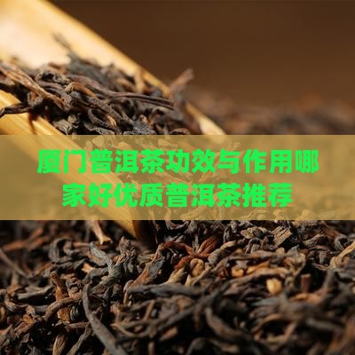 厦门普洱茶功效与作用
