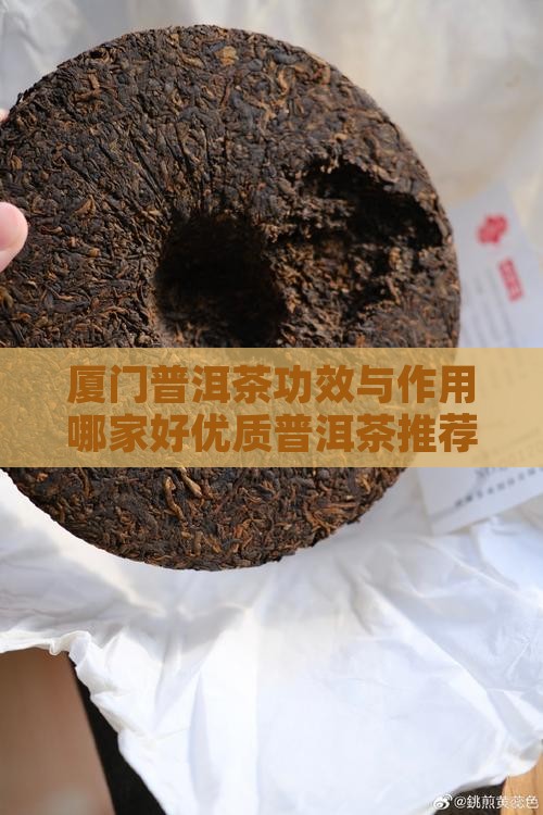 厦门普洱茶功效与作用