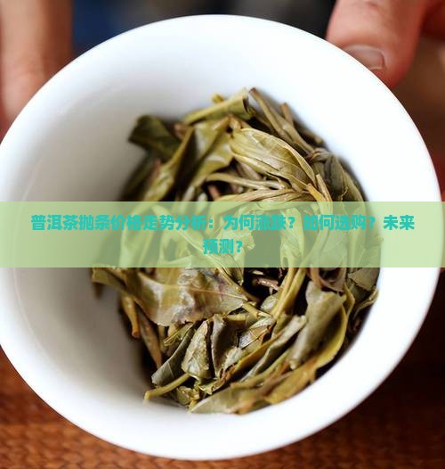 普洱茶抛条价格