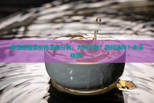 普洱茶抛条价格