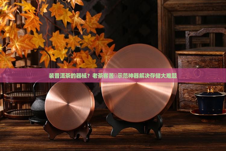 装普洱茶的器械