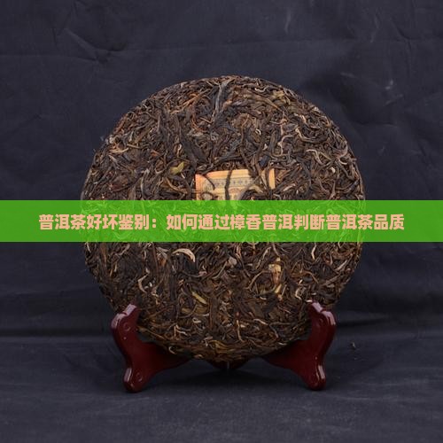 樟香普洱茶怎么看茶好不好
