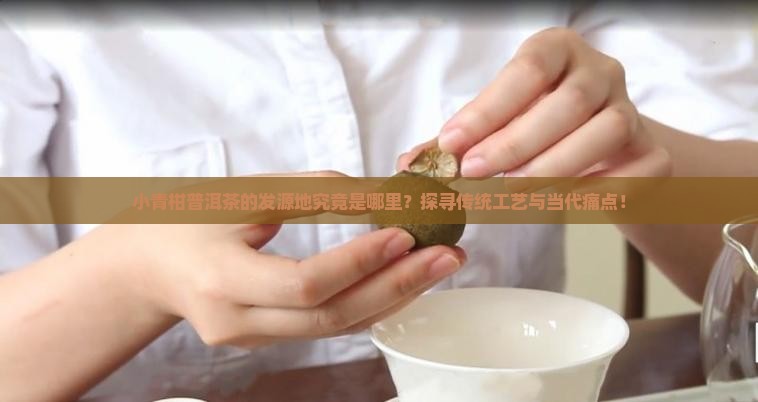 小青柑普洱茶发源地