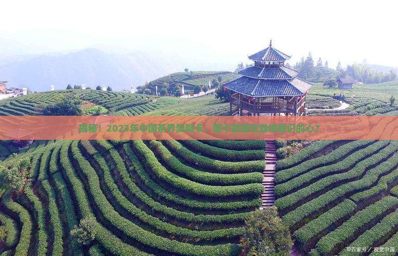中国十大茶叶品牌最新排名榜