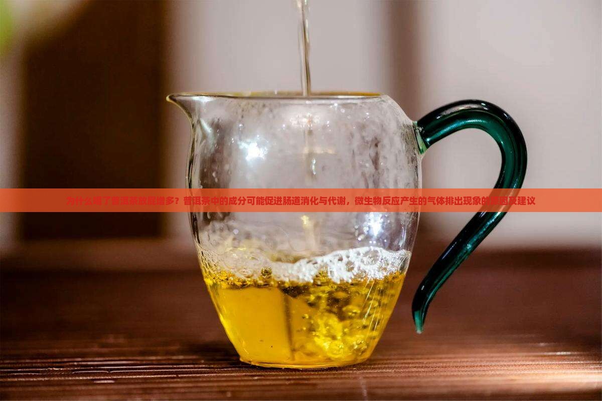 为什么喝了普洱茶老放屁