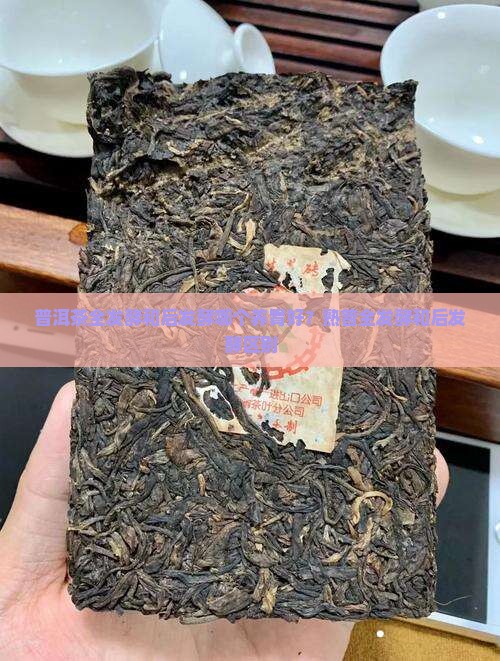 普洱茶全发酵和后发酵哪个养胃好