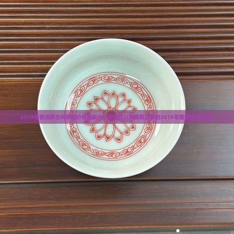 2019普洱茶古树