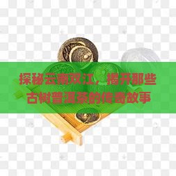 云南双江古树普洱茶