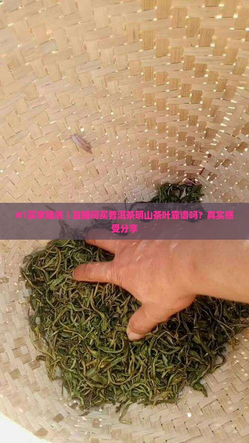 普洱茶明山茶叶直播