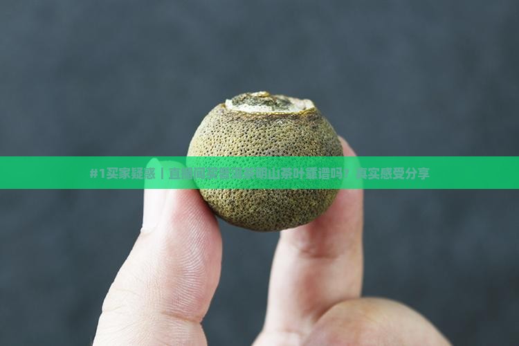 普洱茶明山茶叶直播