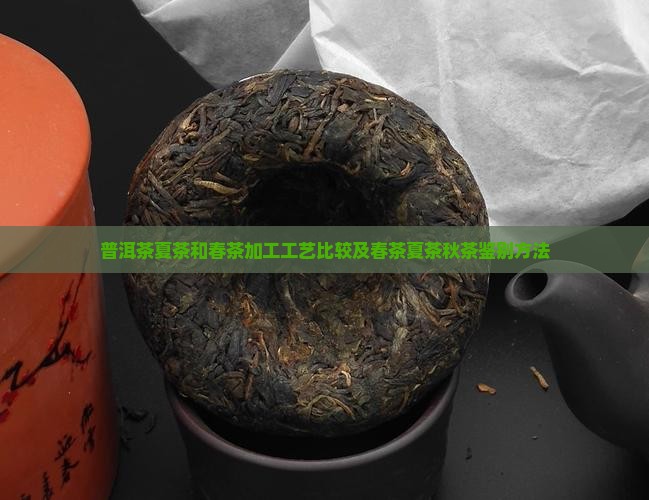 普洱茶夏茶和春茶加工工艺
