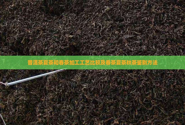 普洱茶夏茶和春茶加工工艺