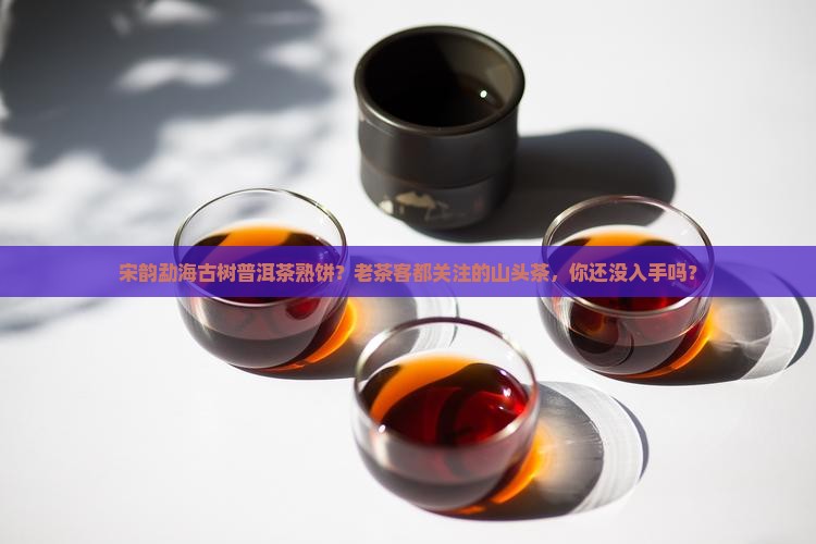 宋韵勐海古树普洱茶熟饼