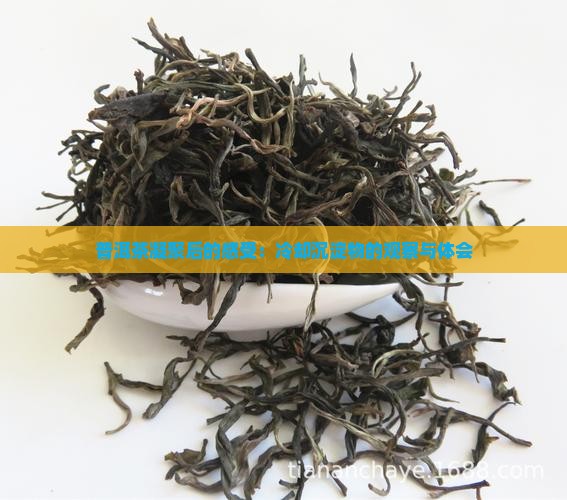 普洱茶凝聚后的感受