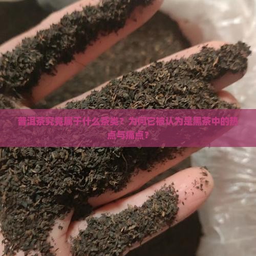 普洱茶是什么茶是黑茶