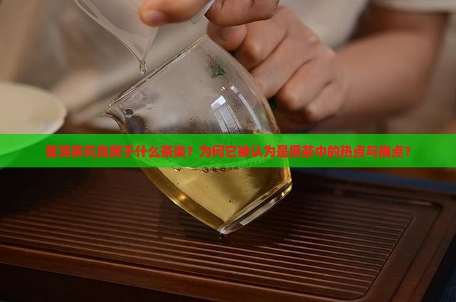 普洱茶是什么茶是黑茶