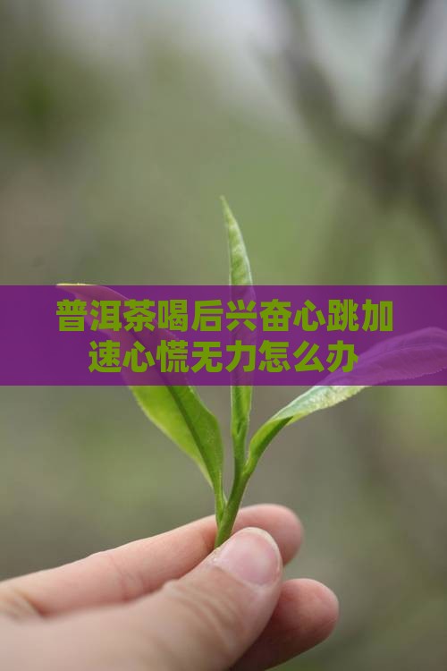 普洱茶喝后兴奋