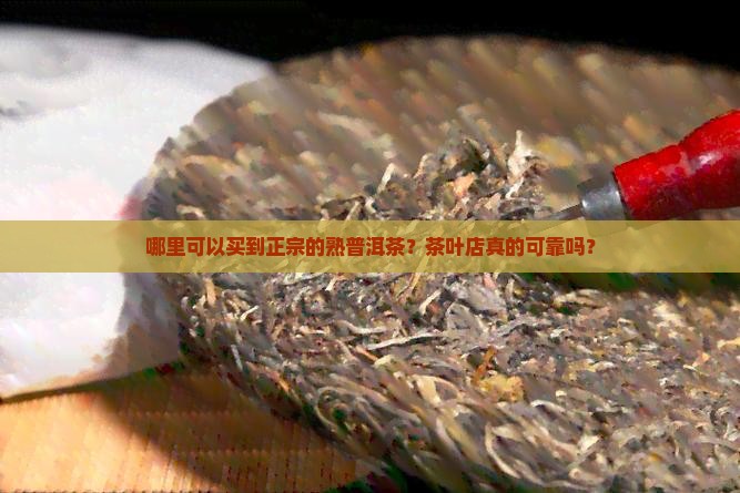 茶叶店买得到真正熟普洱茶