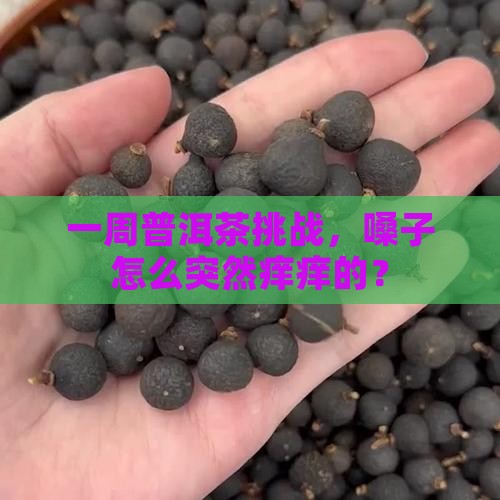 连续喝普洱茶一周嗓子痒