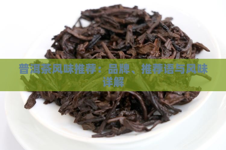 普洱茶风味推荐