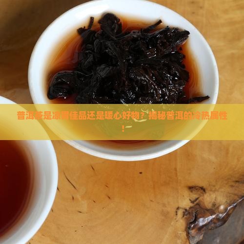 普洱属于凉性还是热性