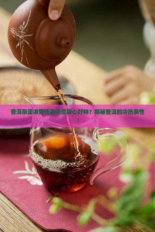 普洱属于凉性还是热性