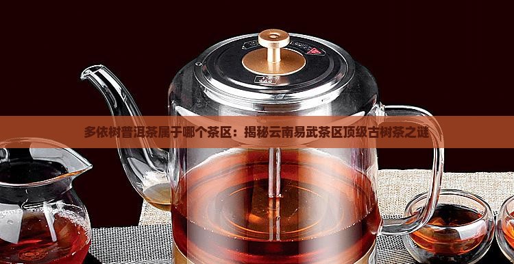 多依树普洱茶属于哪个茶区