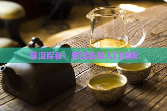 普洱茶生茶入门 普洱茶生茶入门