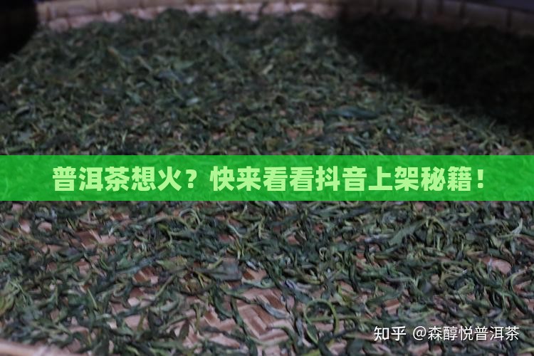 普洱茶在抖音怎么上架