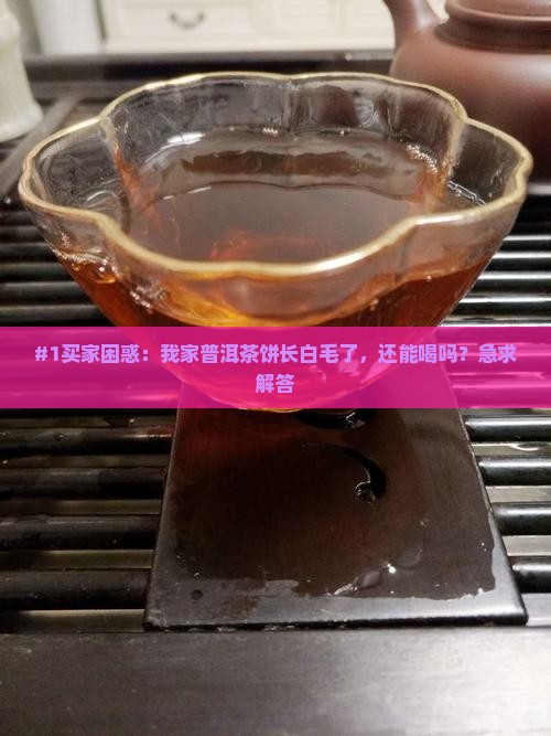 普洱茶饼有发霉症状