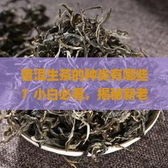 普洱生茶的种类