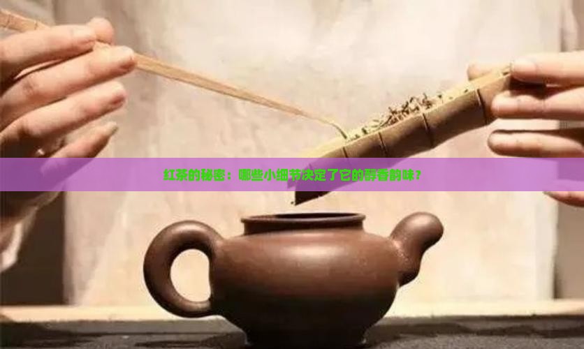 影响红茶发酵的因素