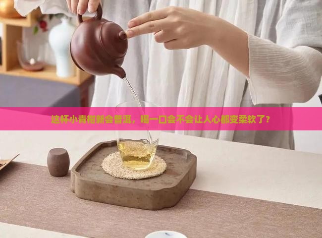 小青柑新会普洱茶