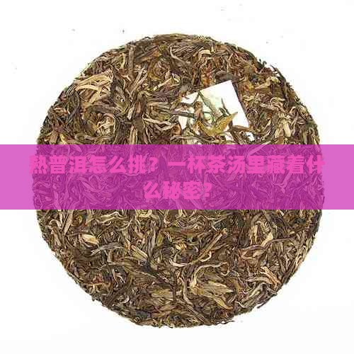熟普洱怎样区分好坏