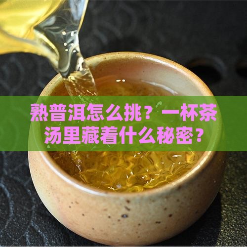 熟普洱怎样区分好坏