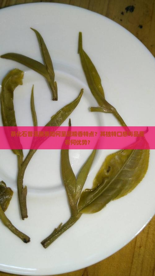 茶化石普洱茶熟茶糯香