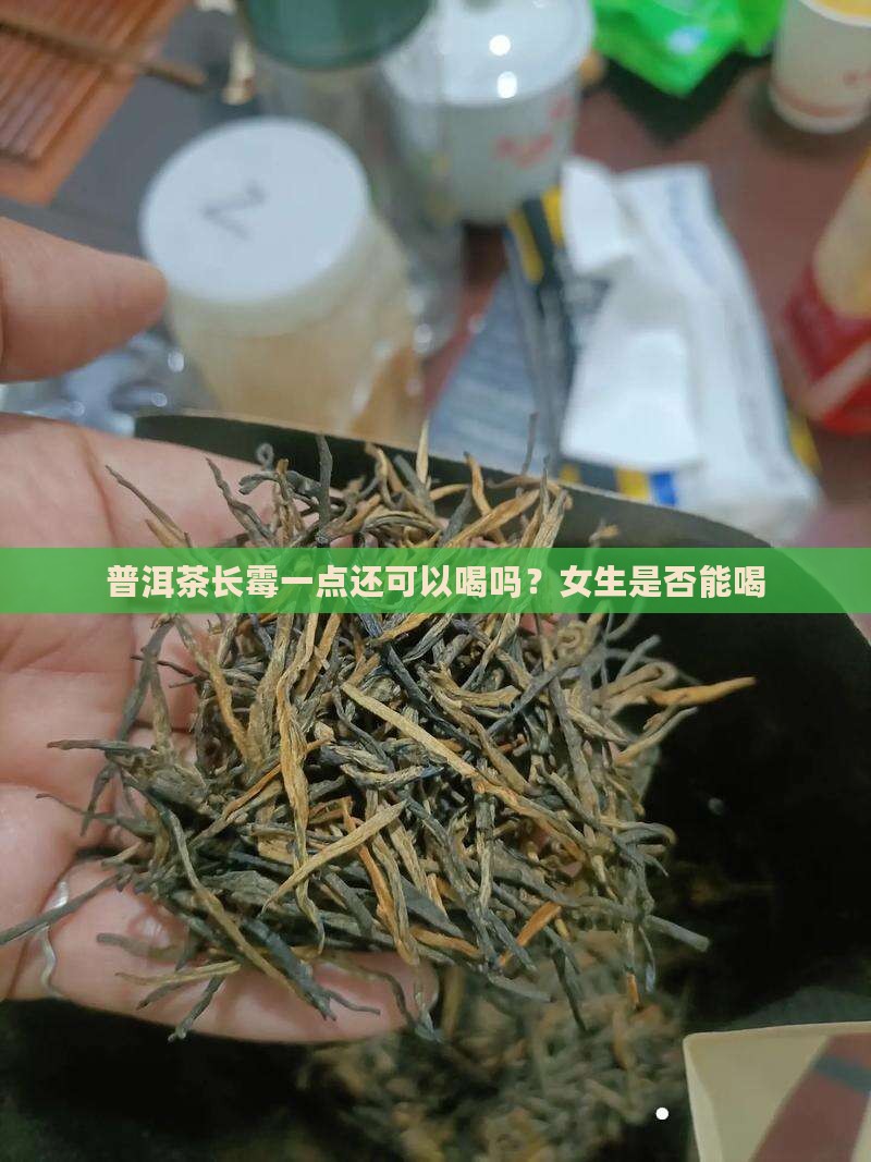 普洱茶长霉一点还可以喝吗
