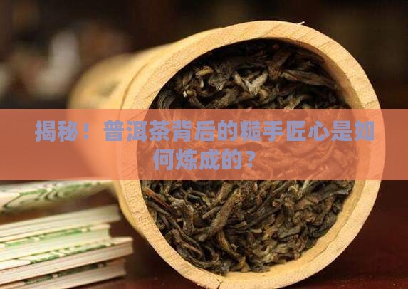 云南普洱茶手粗
