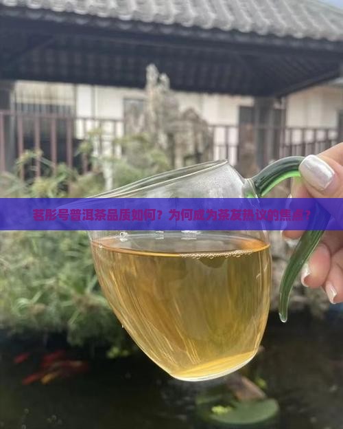 茗彤号普洱茶怎么样