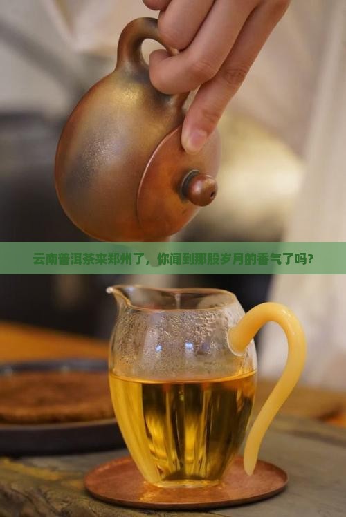 云南普洱茶郑州