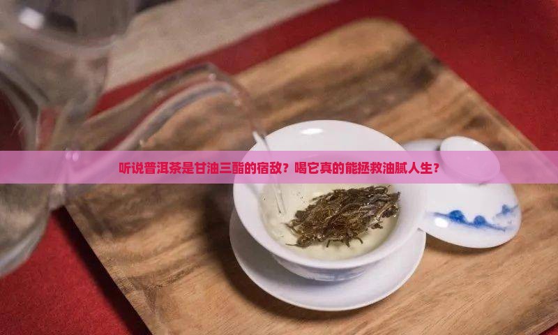 甘油三酯克星普洱茶