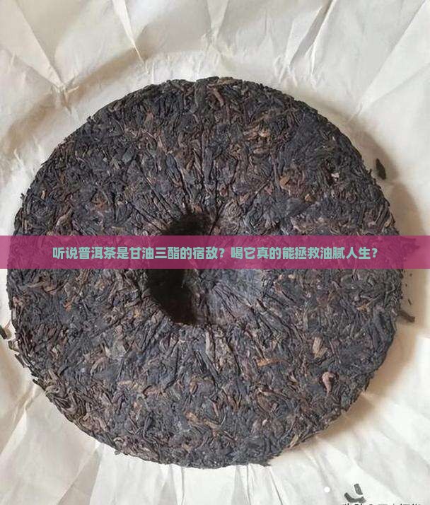 甘油三酯克星普洱茶