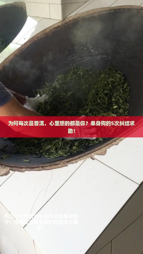 一喝普洱茶就联系你 一喝普洱茶就联系你